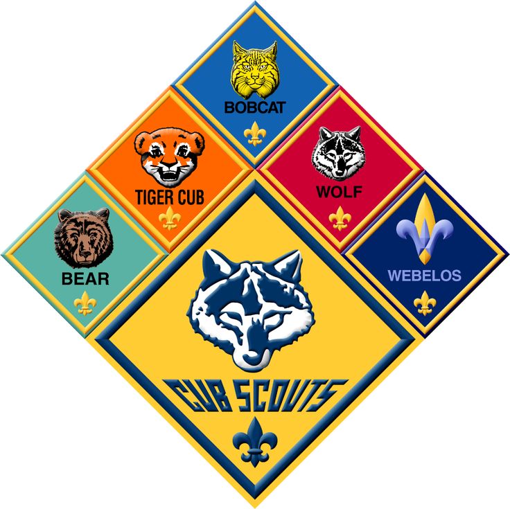 Cub Scout Ranks